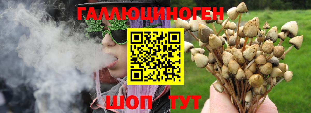 где можно купить наркотик  Вход с VPN  Петропавловск-Камчатский  Галлюциногенные грибы ЛСД  Псилоцибиновые грибы Psilocybe 